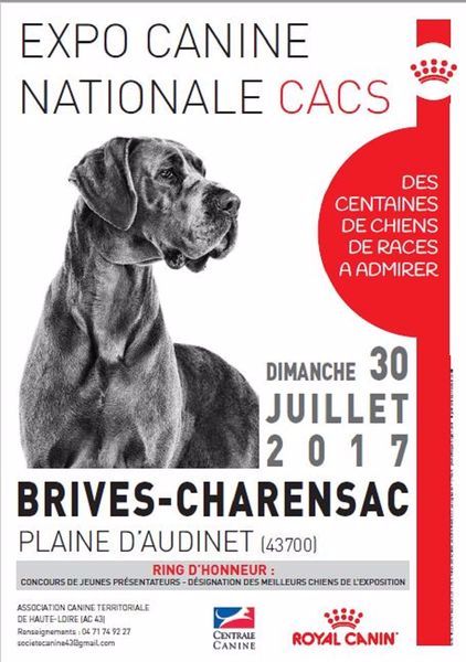 Des Monts Eternels - Exposition canine Le Puy - Brive Charensac