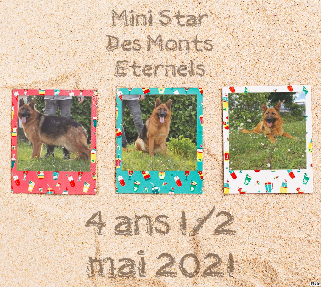 Des Monts Eternels - Re confirmée Mini star