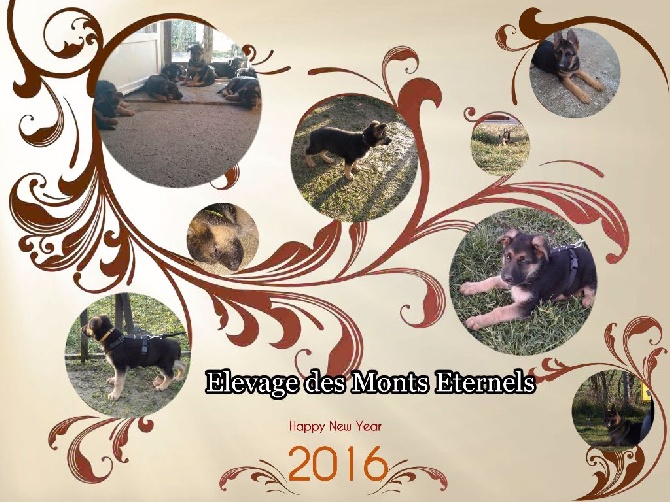 Des Monts Eternels - Best wishes, Feliz ano nuevo