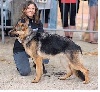  - Hola, (Eden Diego) MEILLEURE JEUNE Puy en Velay juillet 2013