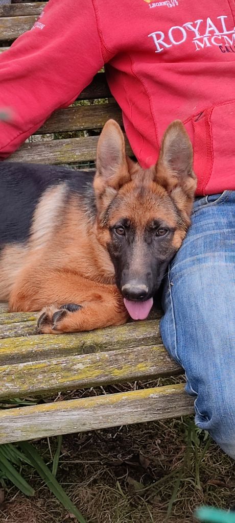 Tatooine Des Monts Eternels